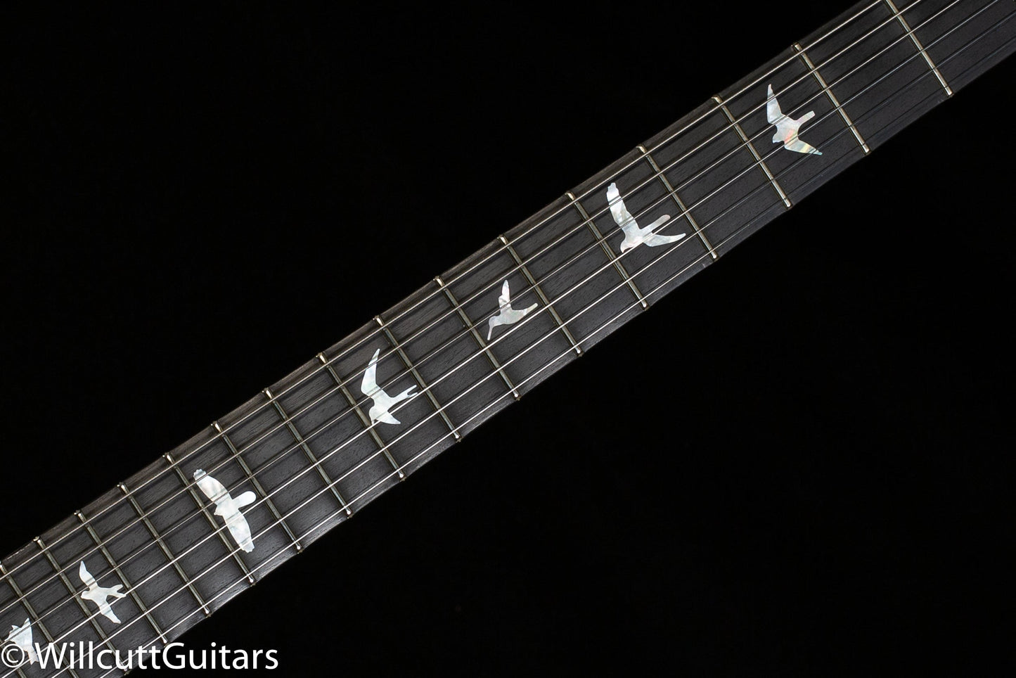 PRS Tremonti Wood Library Edition River Blue Roasted Maple 10 Top