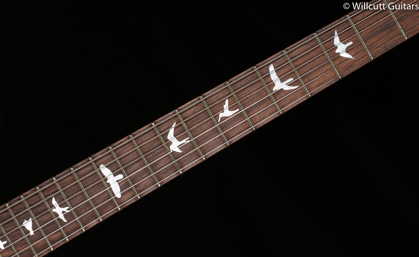 PRS Custom 24 Wood Library Edition Faded Blue Jean Roasted Maple