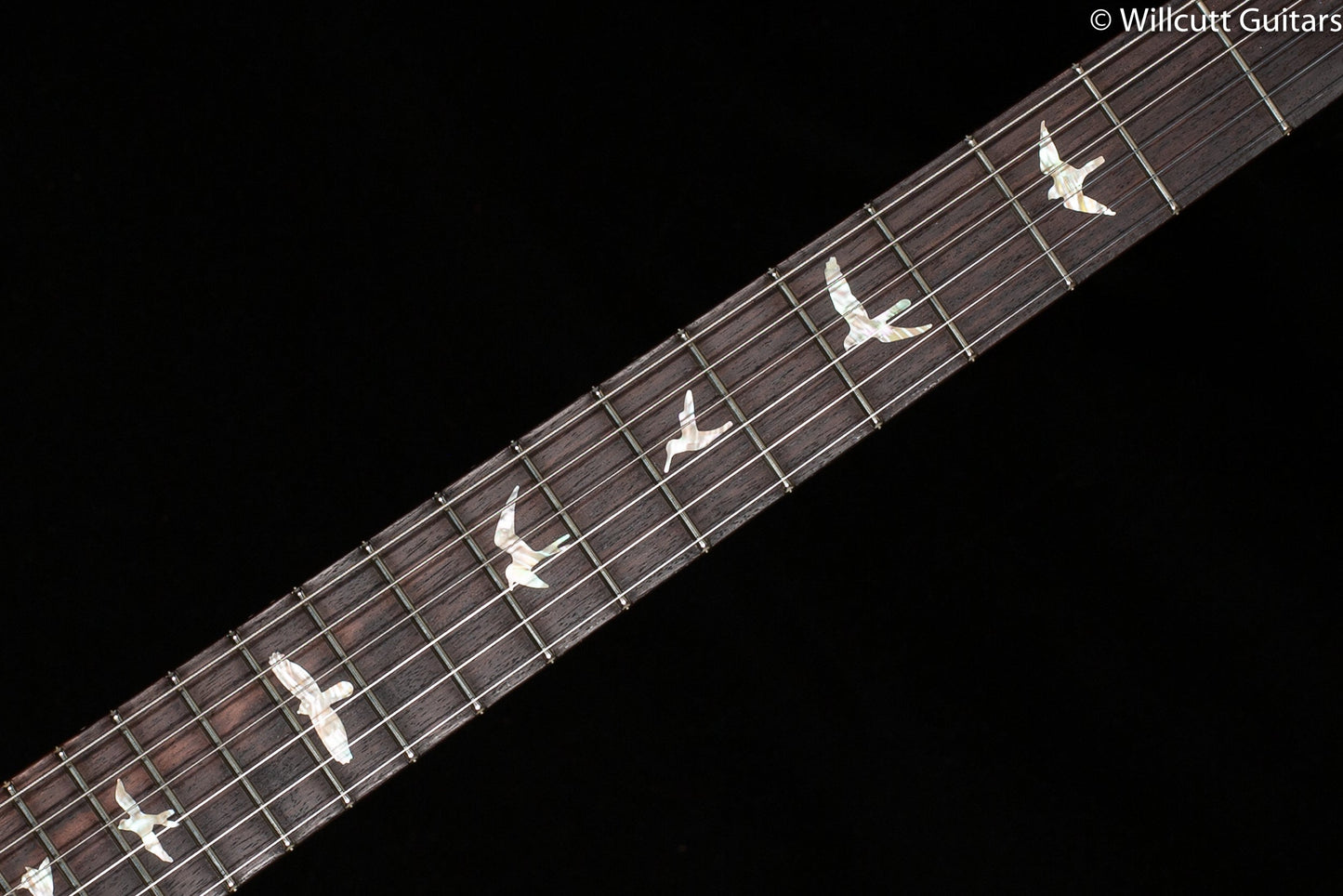 PRS 35th Anniversary Custom 24 Emerald 10 Top