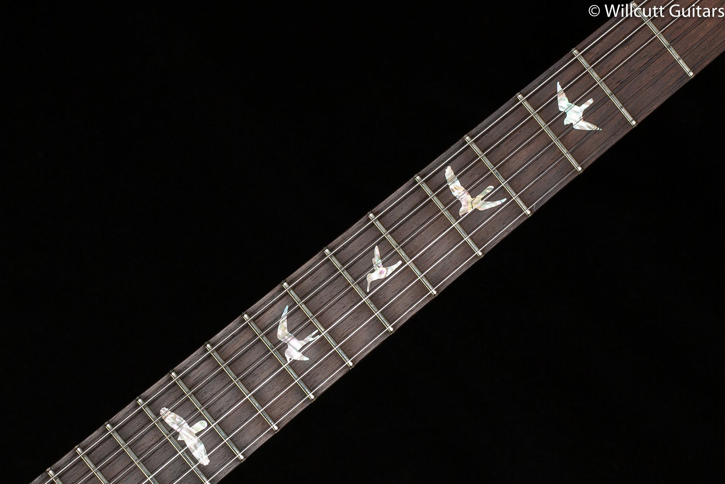 PRS Modern Eagle V Wood Library Edition Artist One-Piece Quilt Trampas Green