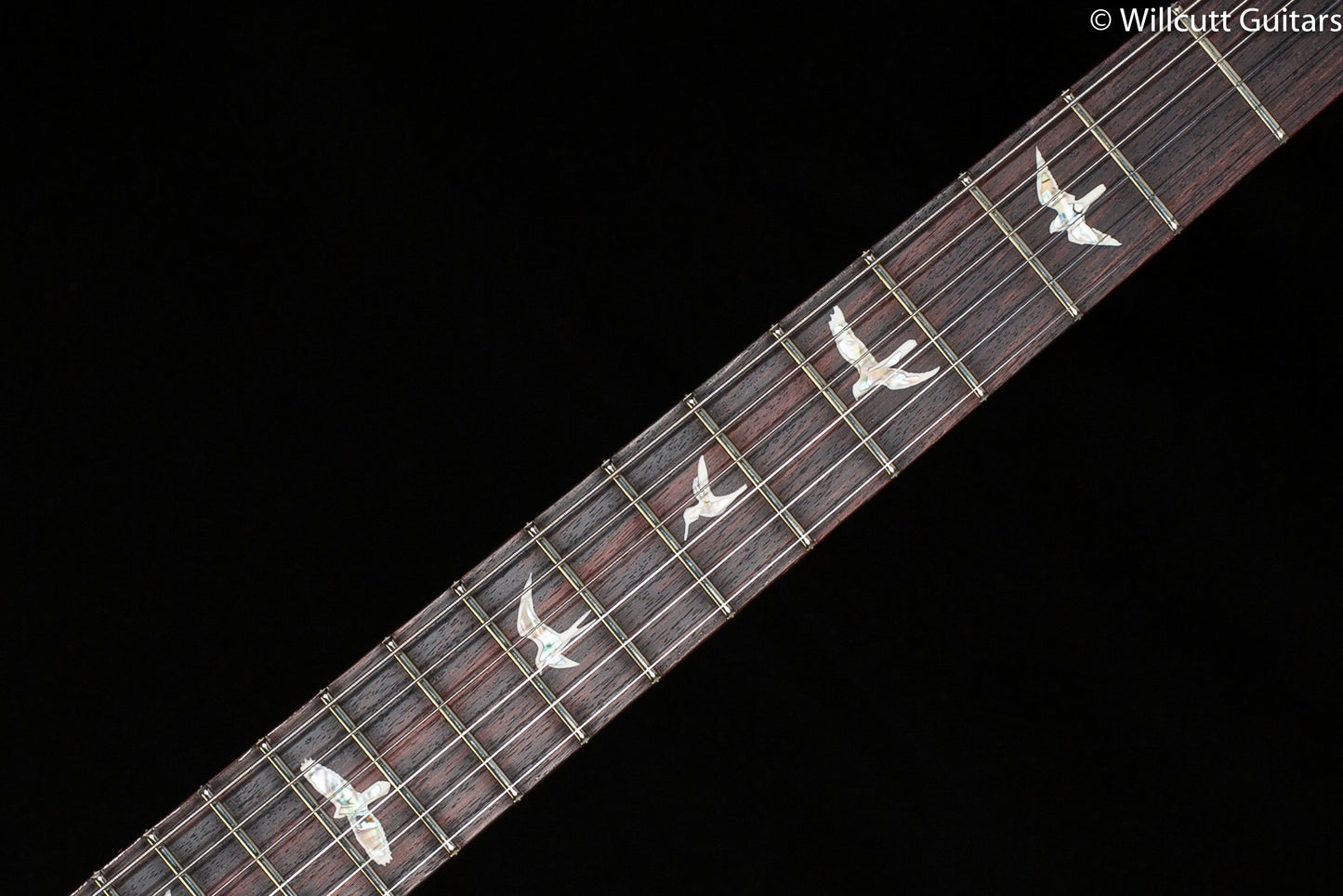 PRS DGT Purple Iris 10 Top