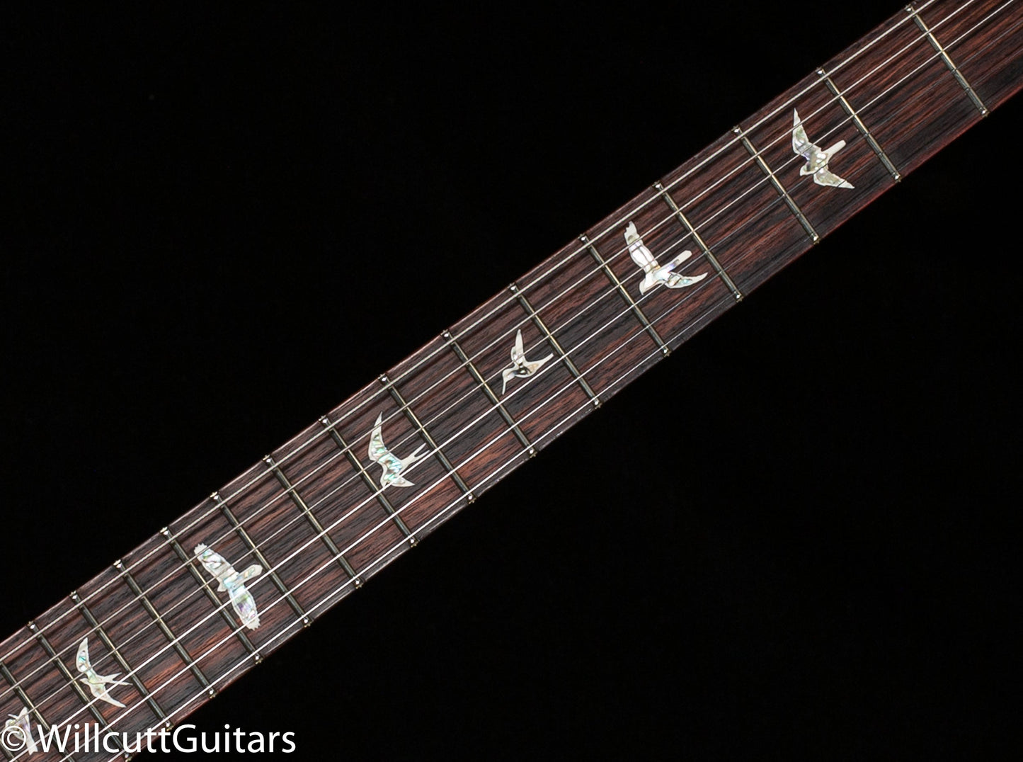 PRS DGT Custom Color Eriza Verde Green Burst (678)