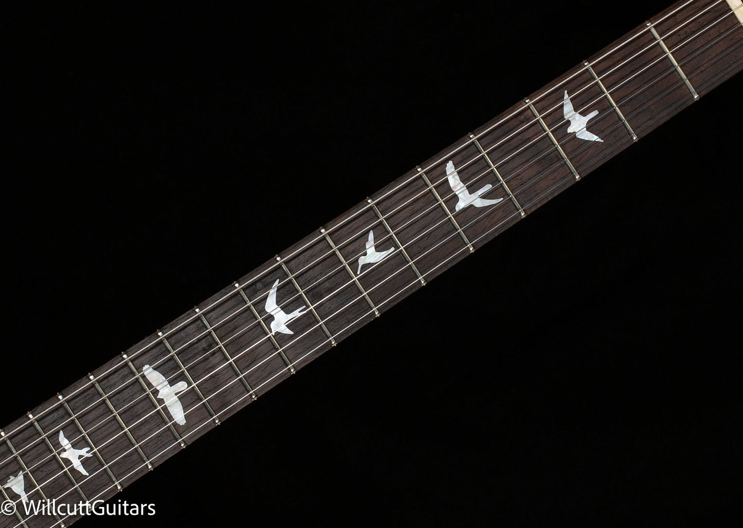PRS Wood Library DGT Gold Top Brazilian (223)