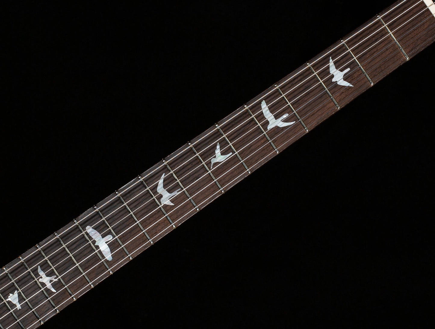PRS Wood Library DGT Gold Top Brazilian (226)