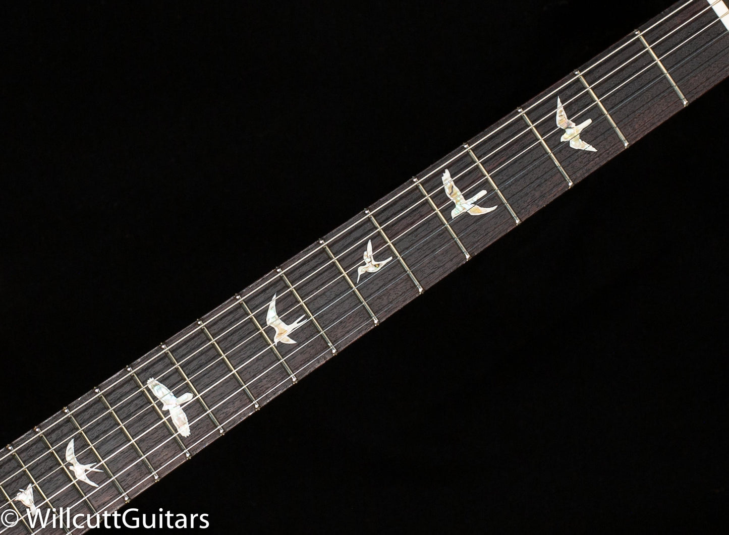 PRS DGT David Grissom Tremolo Gold Top (008)