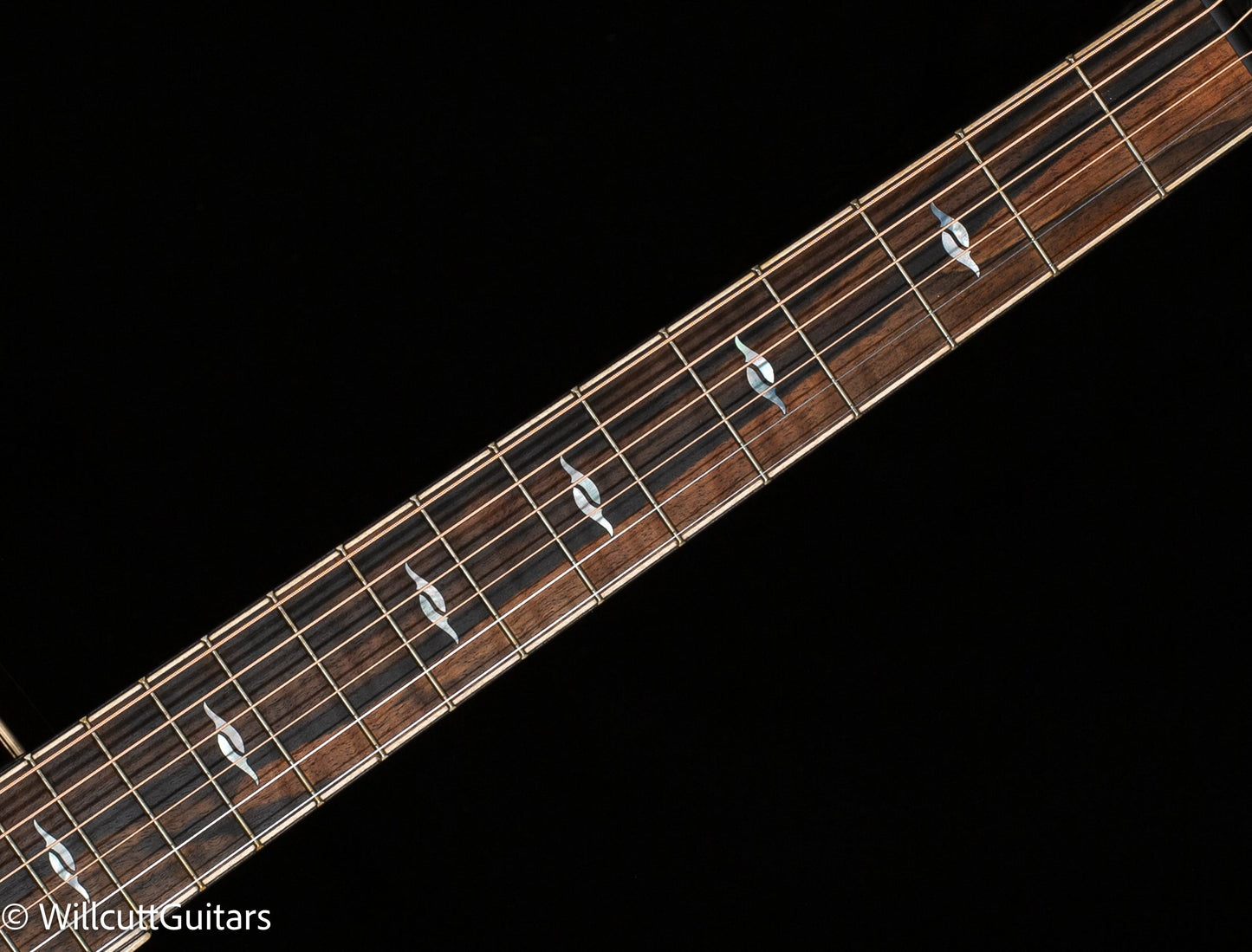 Taylor 814ce Special Edition Blacktop (069)