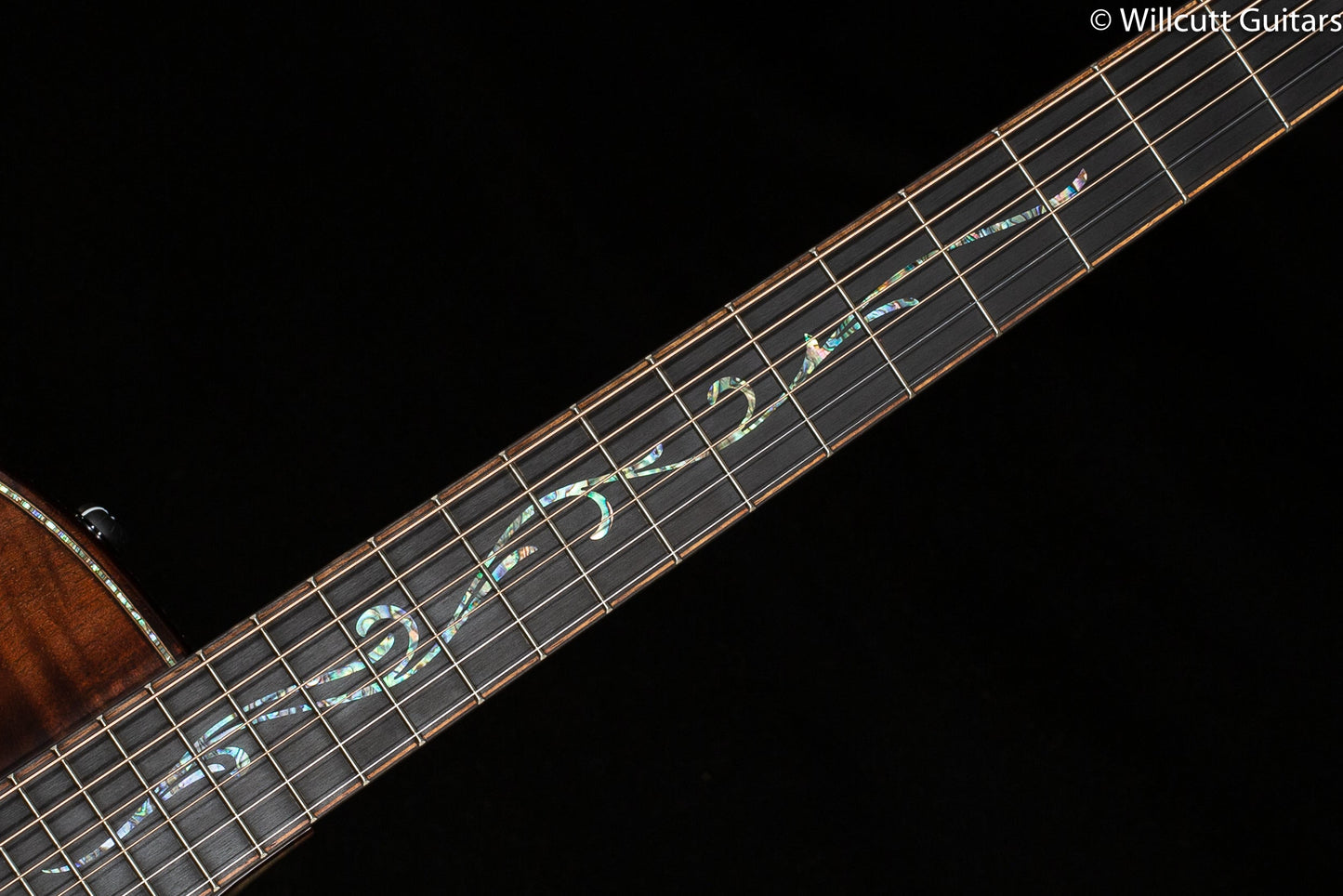 Taylor Builder's Edition K24ce (104)