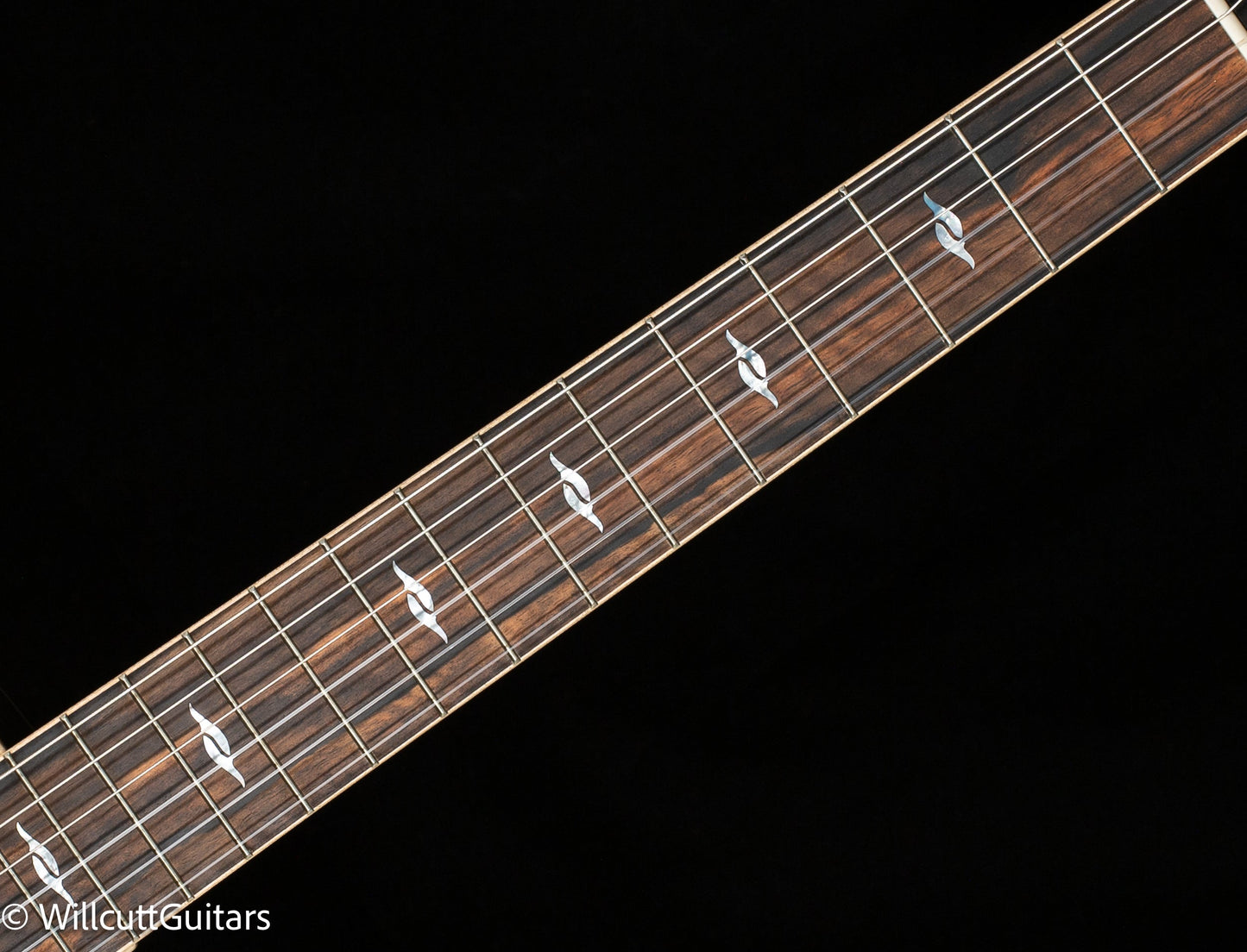 Taylor 814ce-N (061)