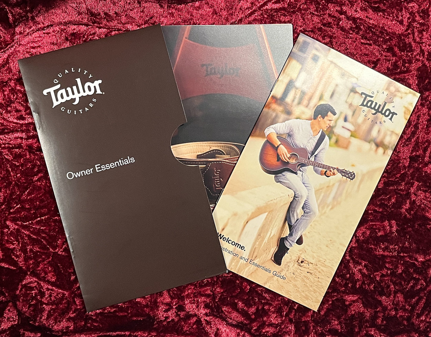 Taylor 914ce Special Edition Rosewood/Sitka Cindy Inlay (082)