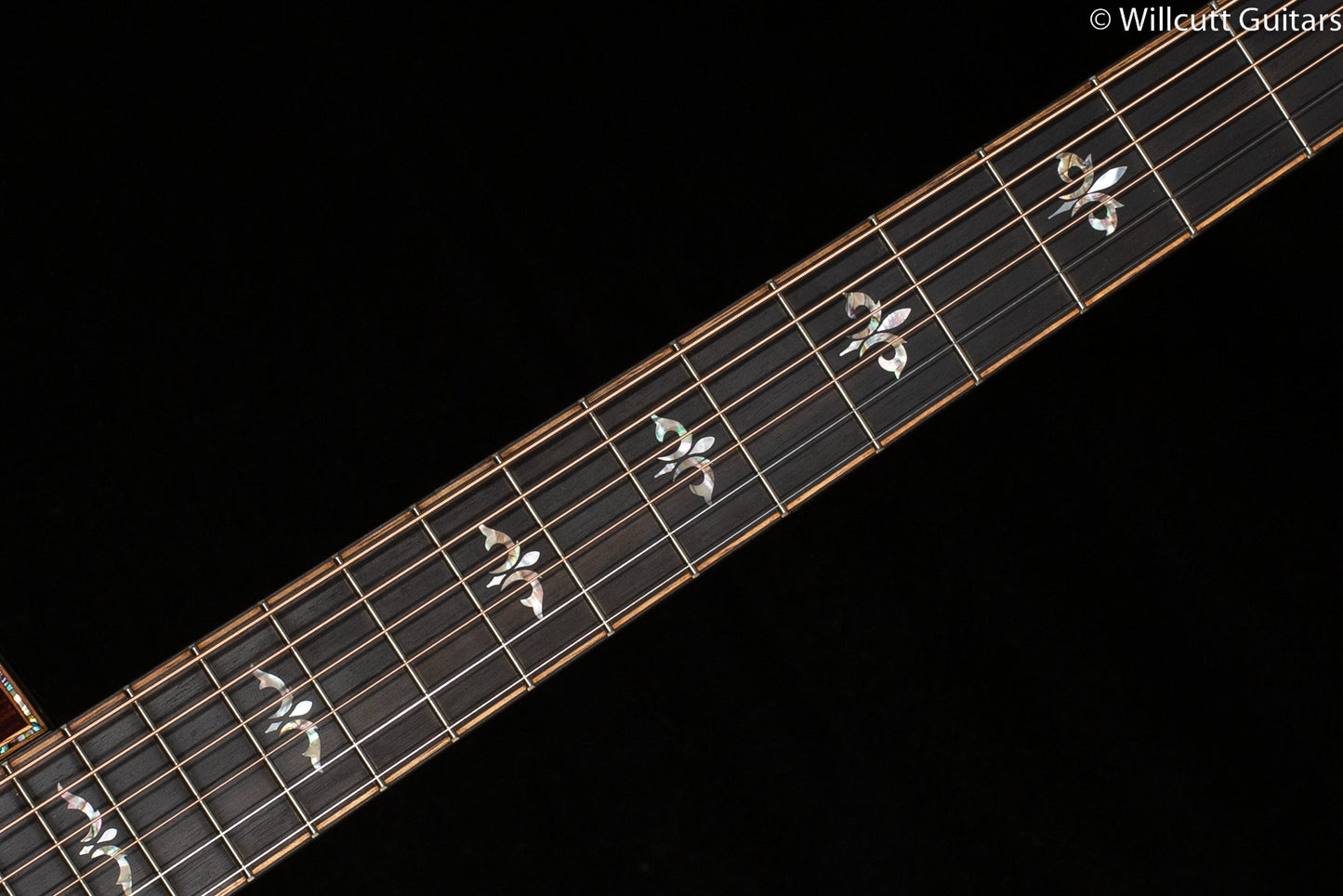 Taylor 914ce LTD Koa(AA)/Redwood (166)