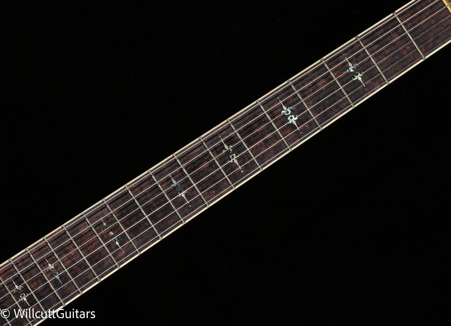 Scott Walker Custom Santa Cruz Legacy (901)
