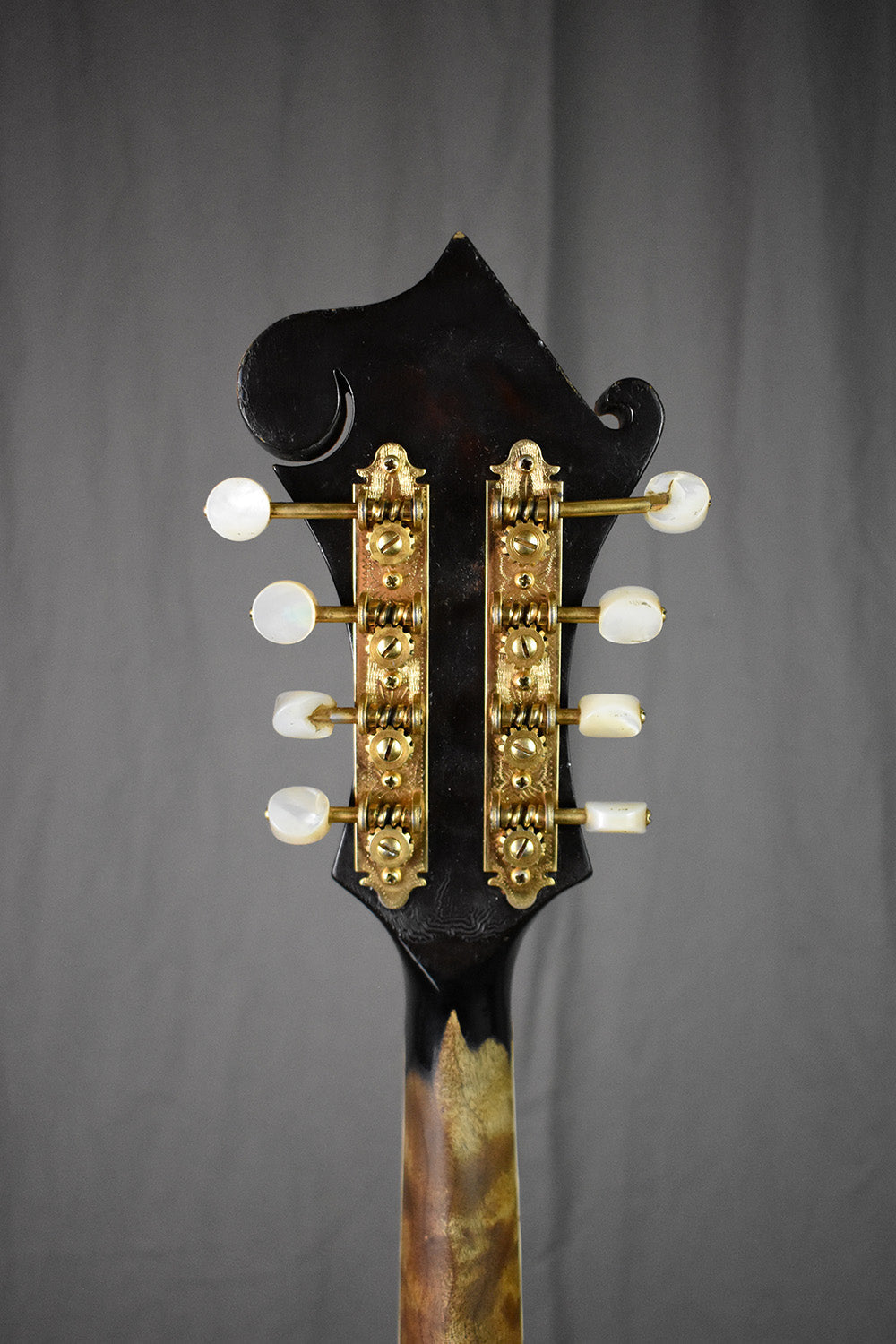 1970s Gibson F-5