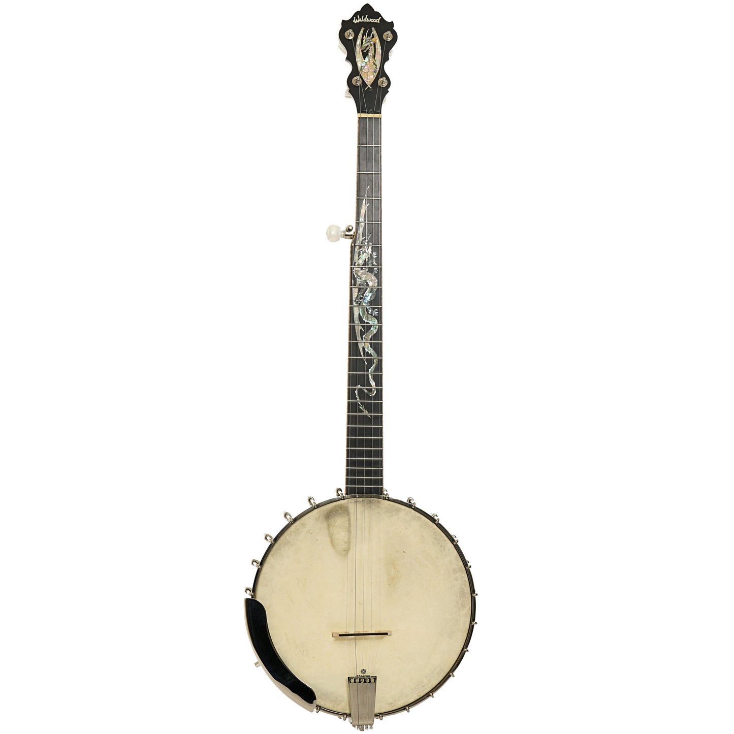 Wildwood Brazilian Custom Dragon Open Back Banjo (2004)