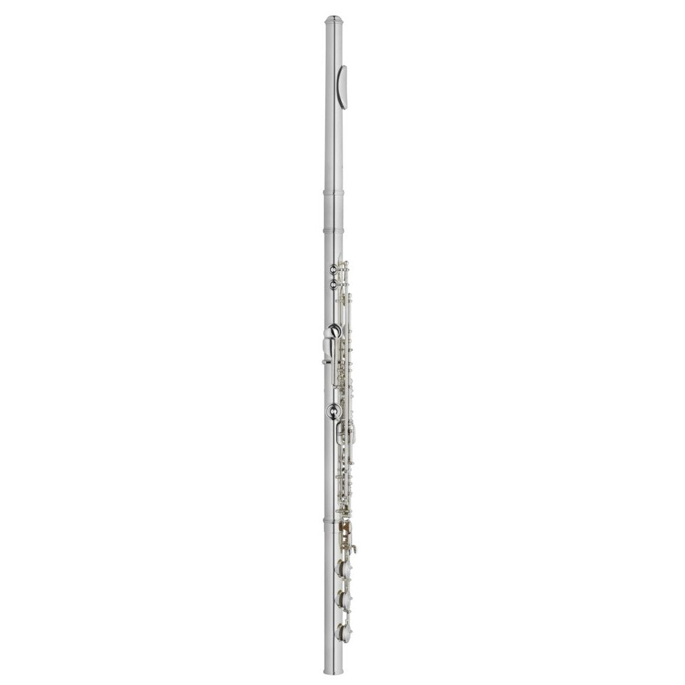Haynes Amadeus AF780-BO C#