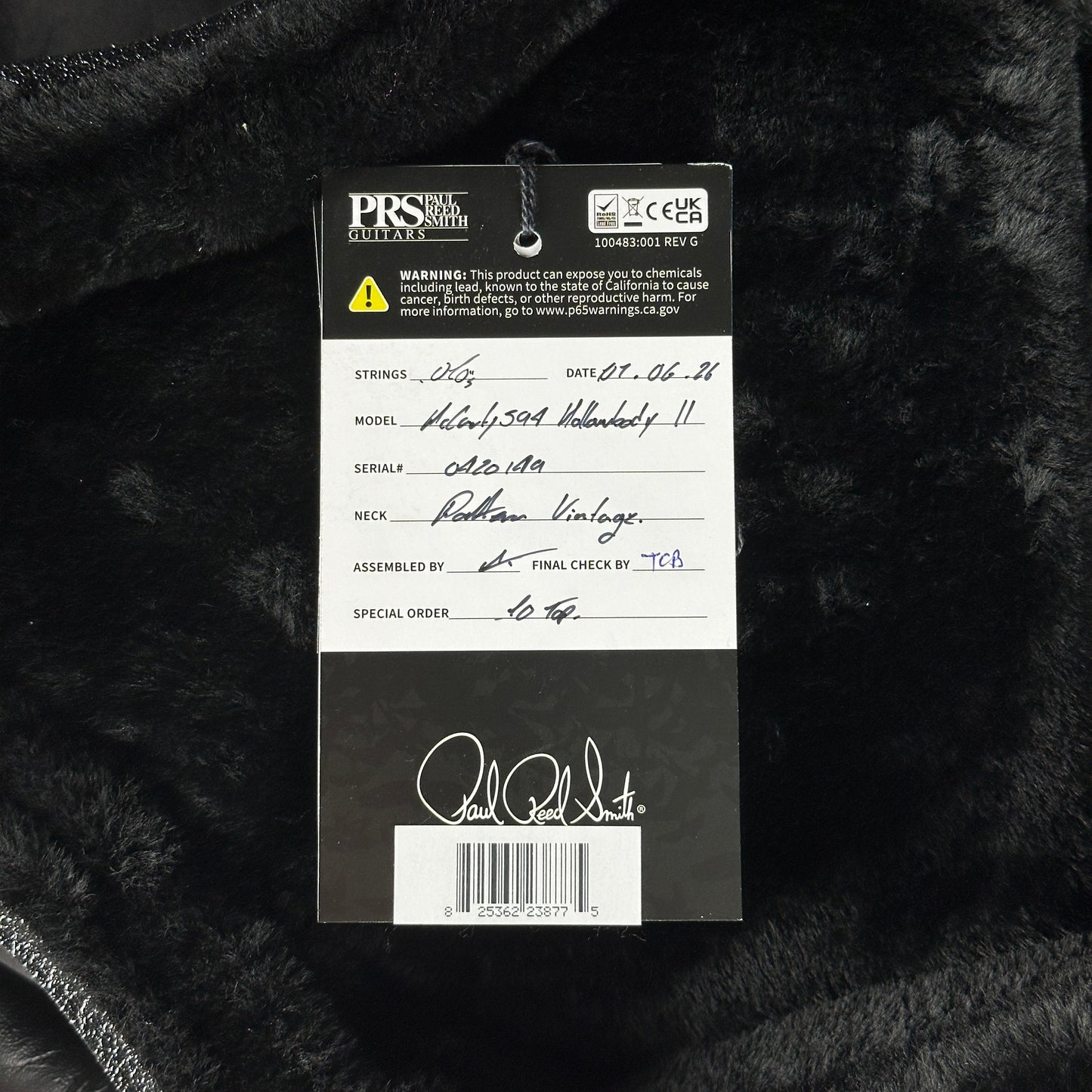 PRS McCarty 594 Hollowbody II 10 Top / Back Aurora Borealis w/case