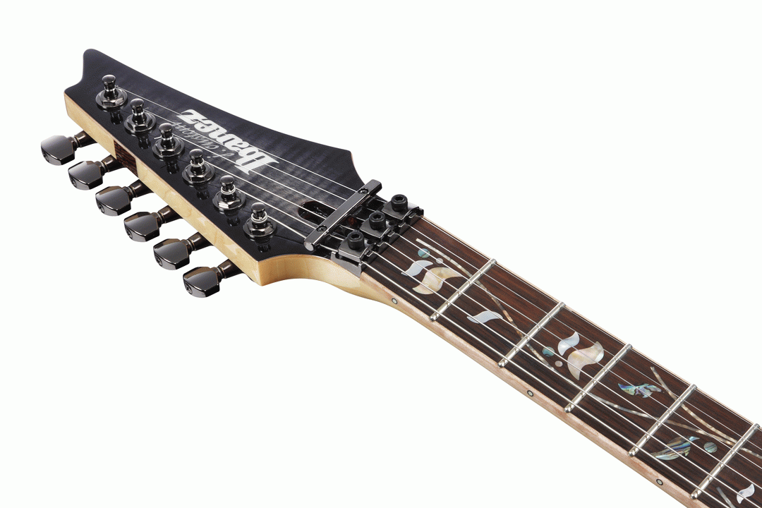 Ibanez RG8570 BRE J-Custom Electric Guitar, Black Rutile
