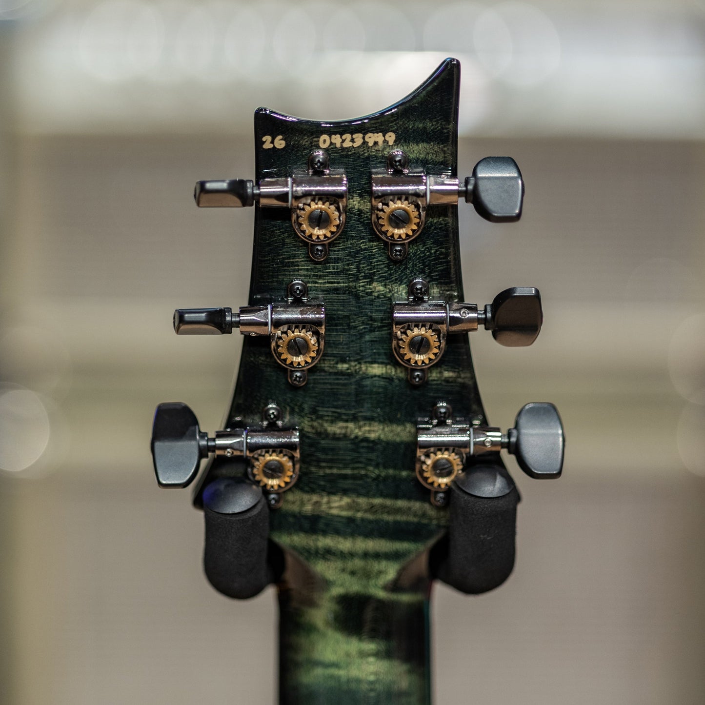 PRS Wood Library Special Semi-Hollow Artist Top - Private Stock Sage