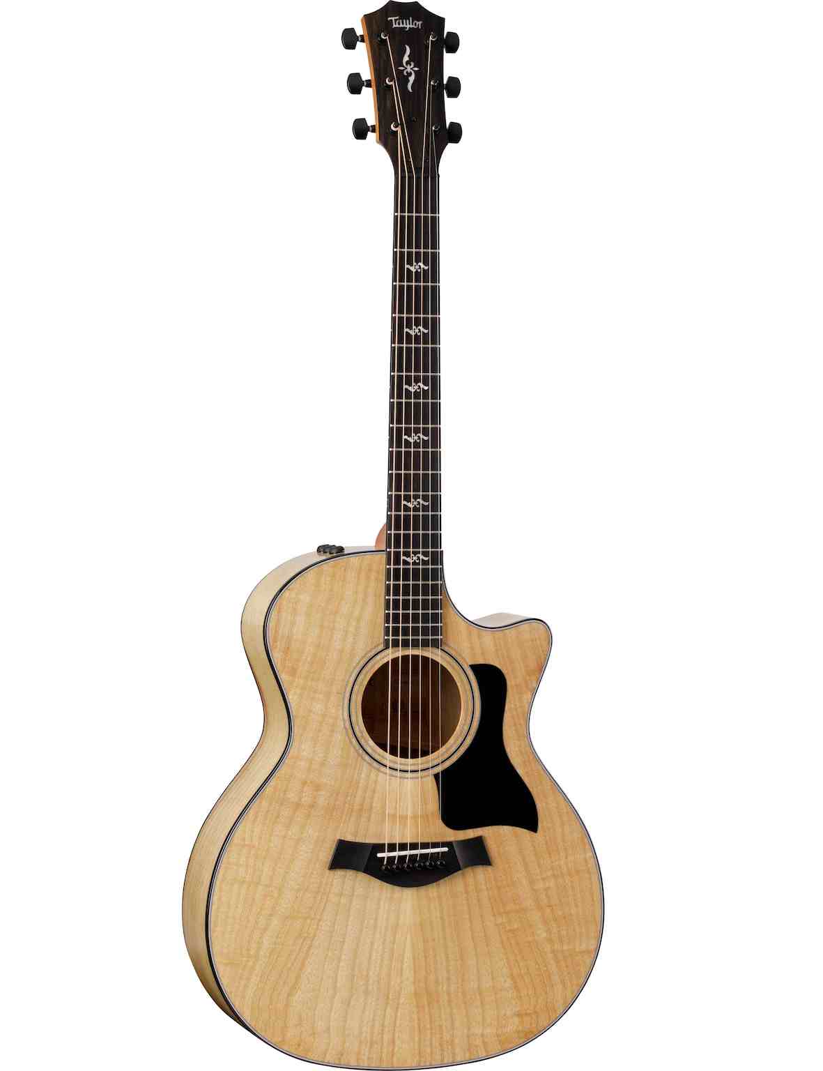 Taylor Urban Ash 424ce LTD