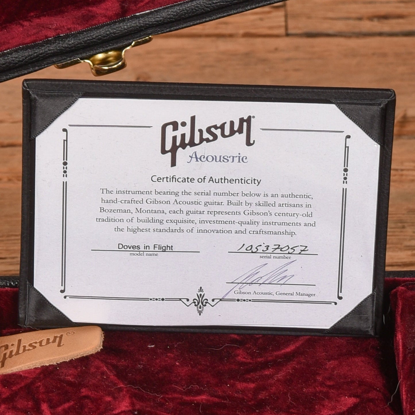 Gibson Doves in Flight Transparent Blue 2017