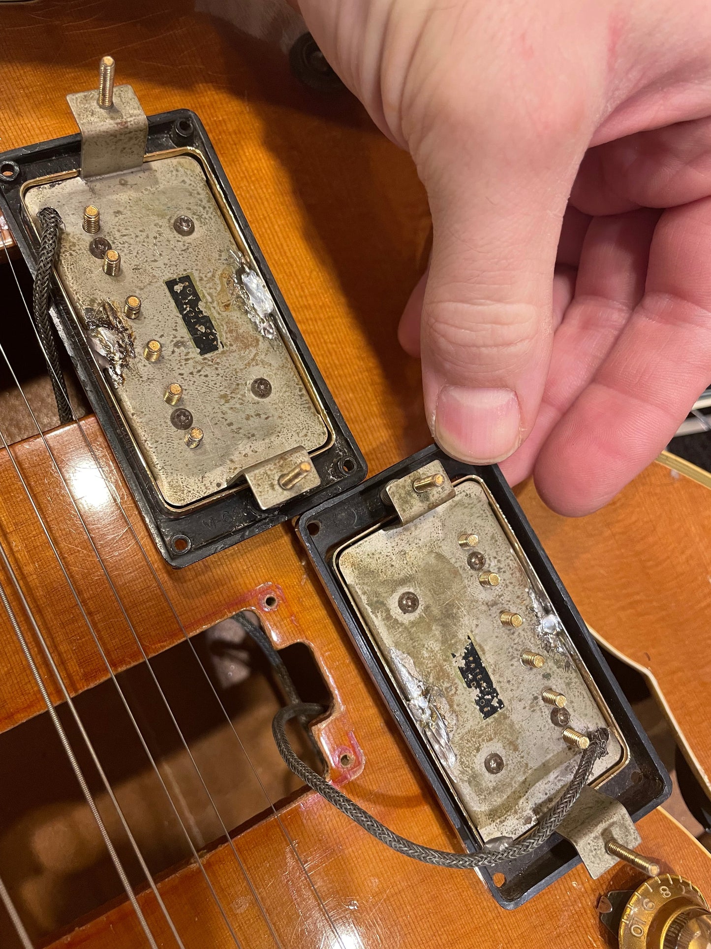 Gibson Byrdland Natural 1958 - Zac Brown