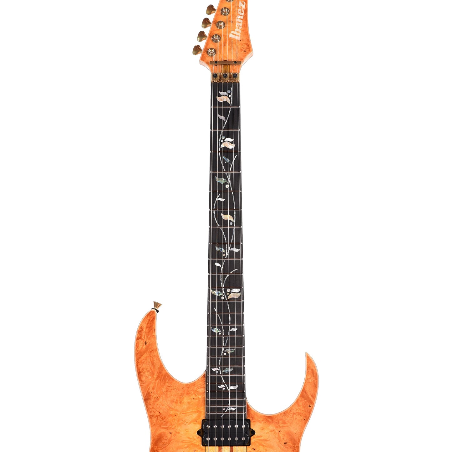 Ibanez IV1RG RG Visions Electric Guitar