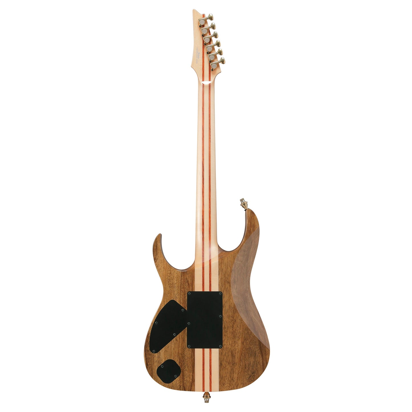 Ibanez IV2RG RG Visions Electric Guitar