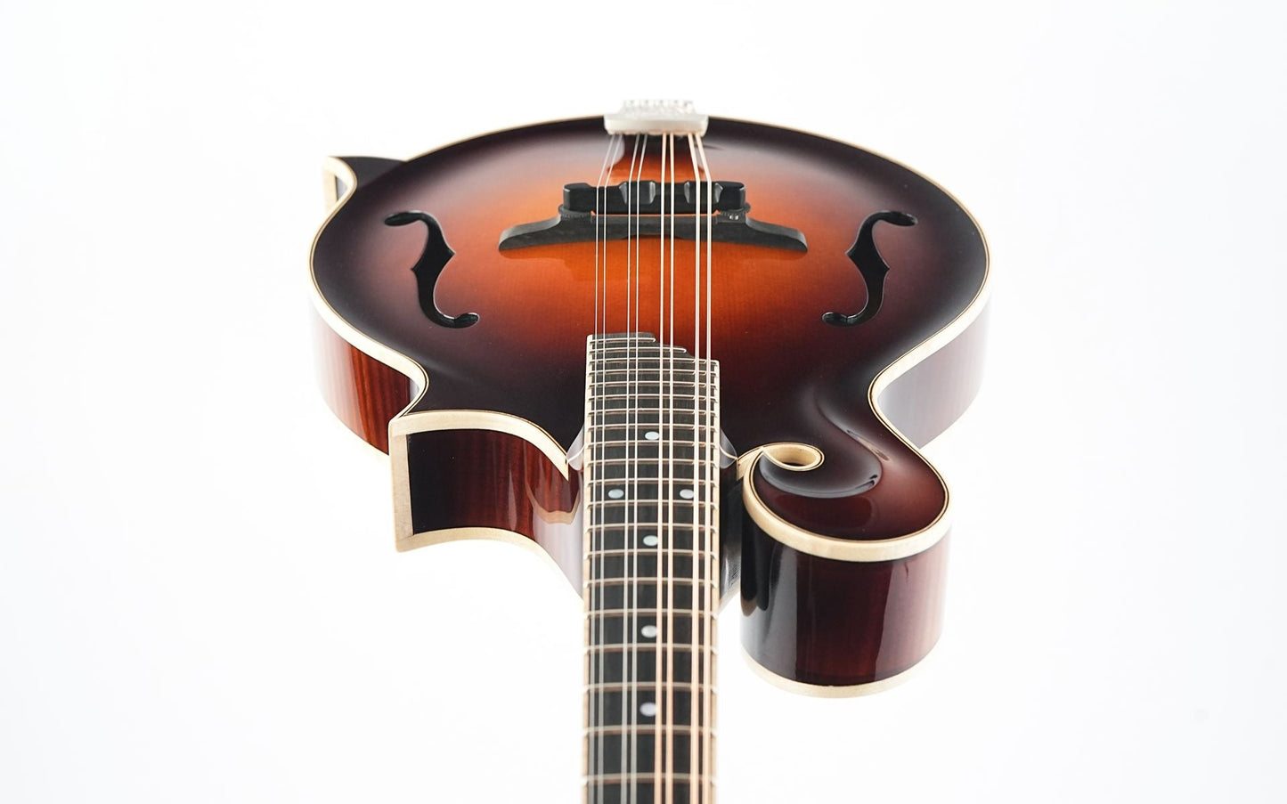Bulas F-Style Persephone