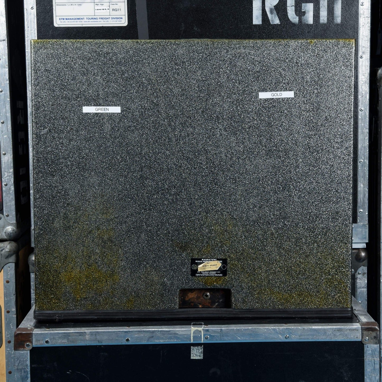 Magnatone M20 1966