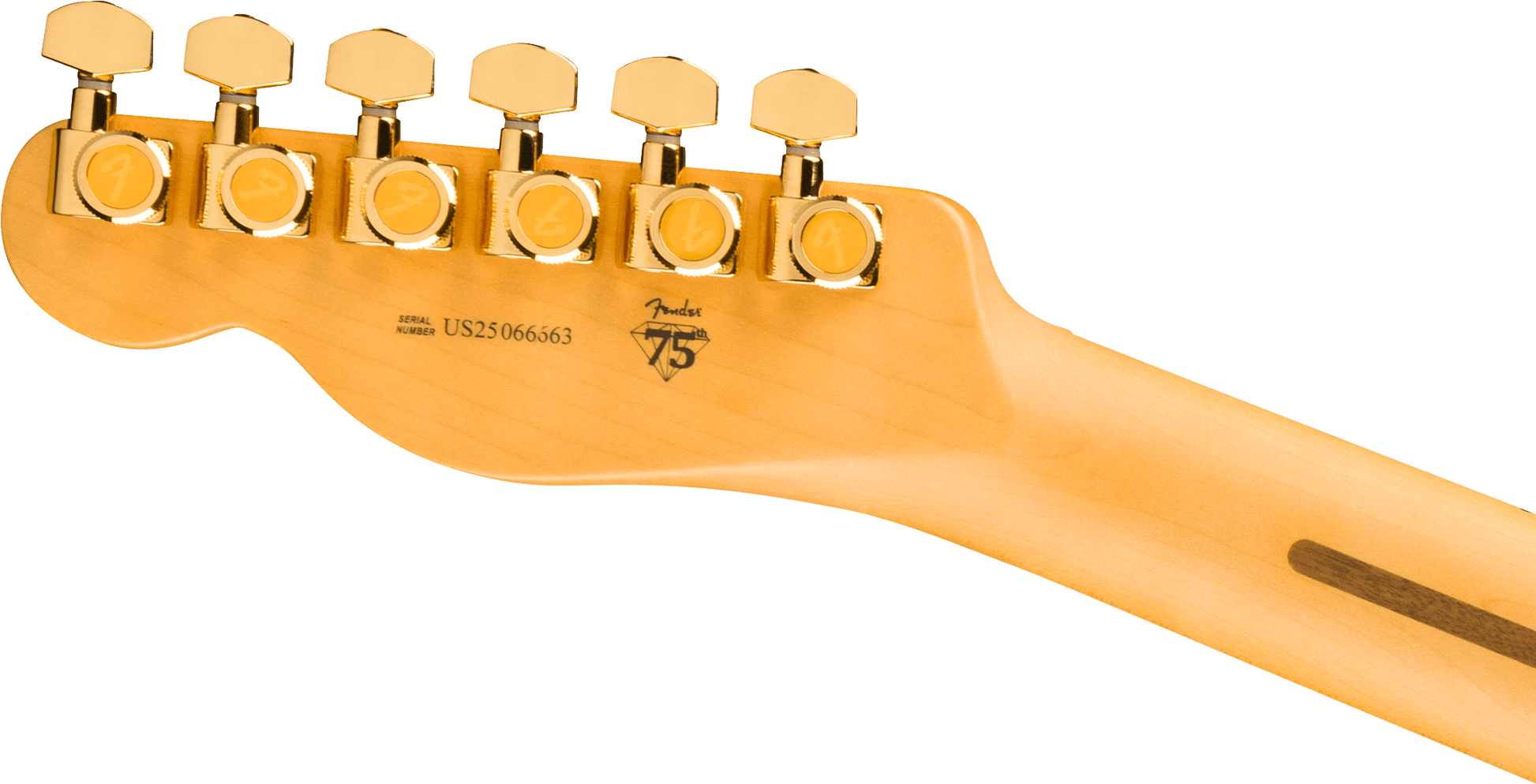 Fender 75th Anniversary American Professional Custom Telecaster