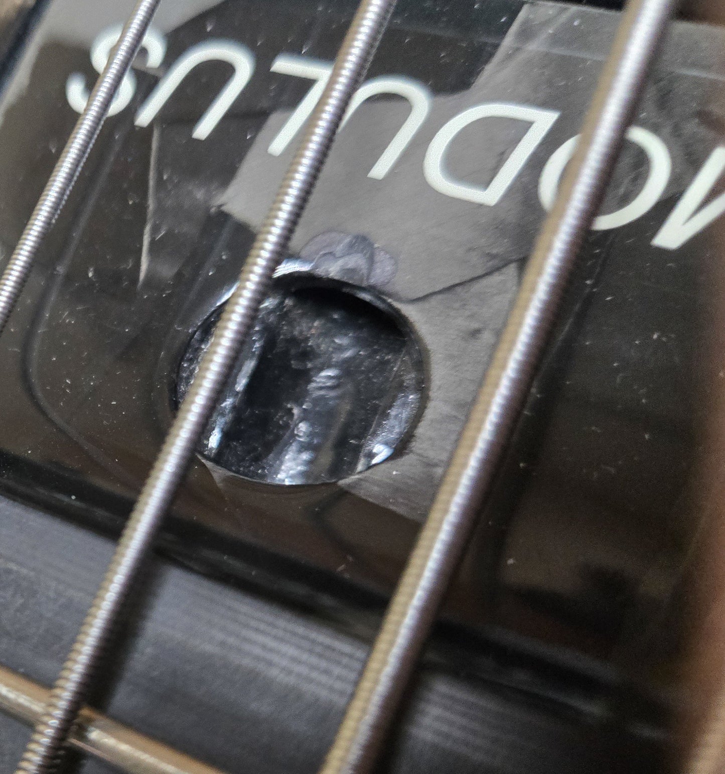 2002 Modulus Quantum 5 String Bass Blackstone