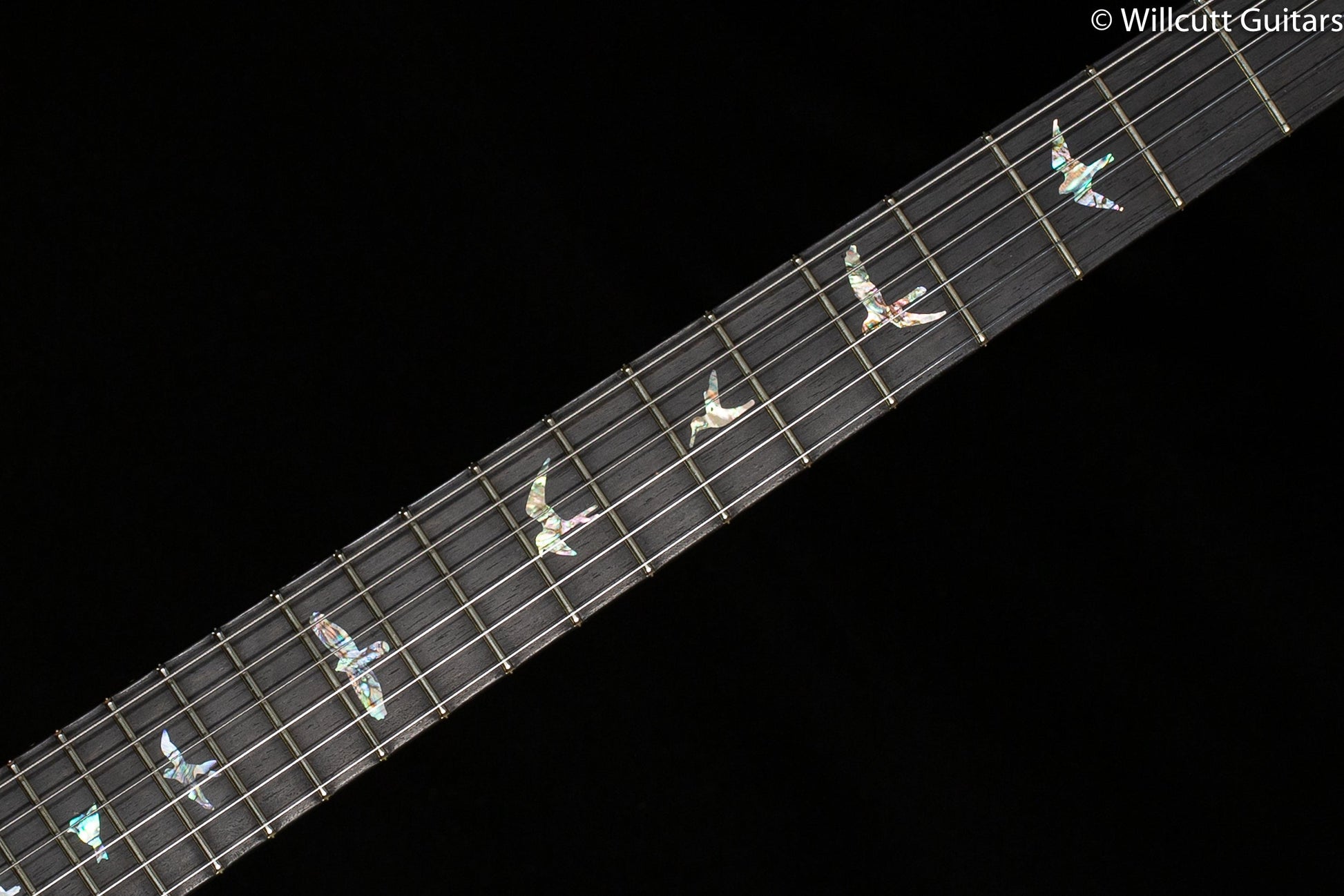 PRS 35th Anniversary Custom 24 River Blue Artist Package
