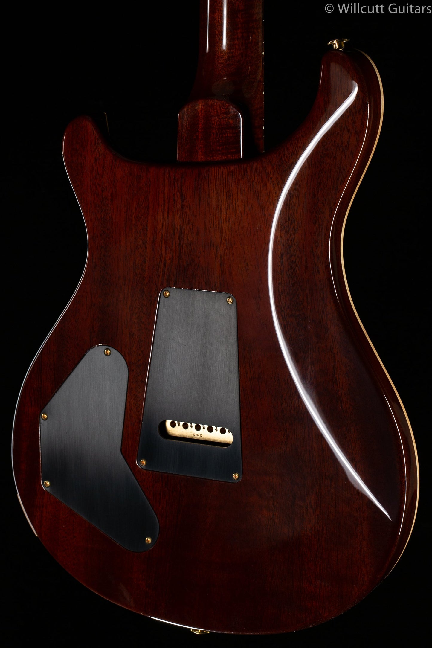 PRS Wood Library DGT Goldtop Brazilian Rosewood