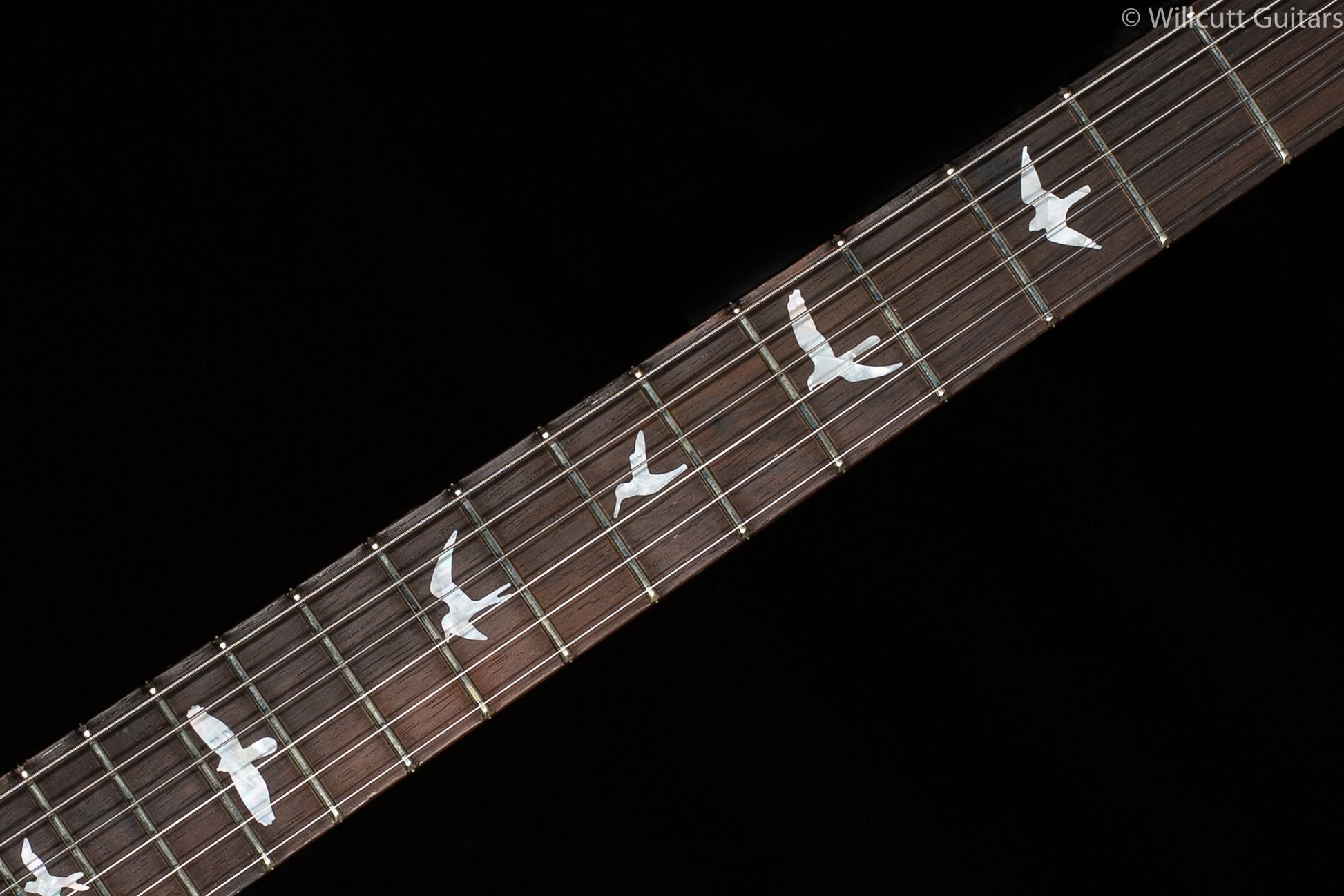 PRS Wood Library DGT Goldtop Brazilian Rosewood