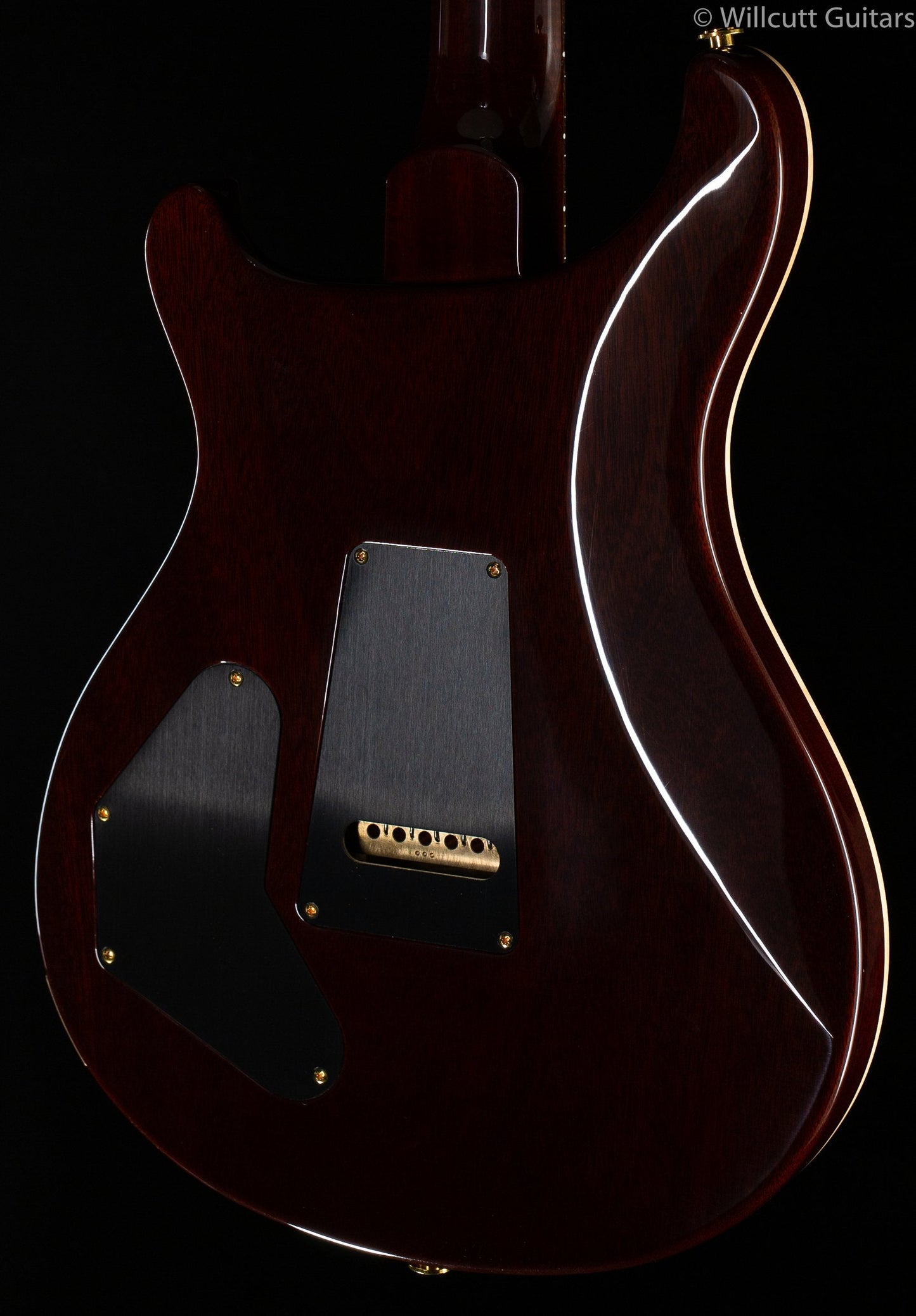 PRS Wood Library DGT Goldtop Brazilian Rosewood