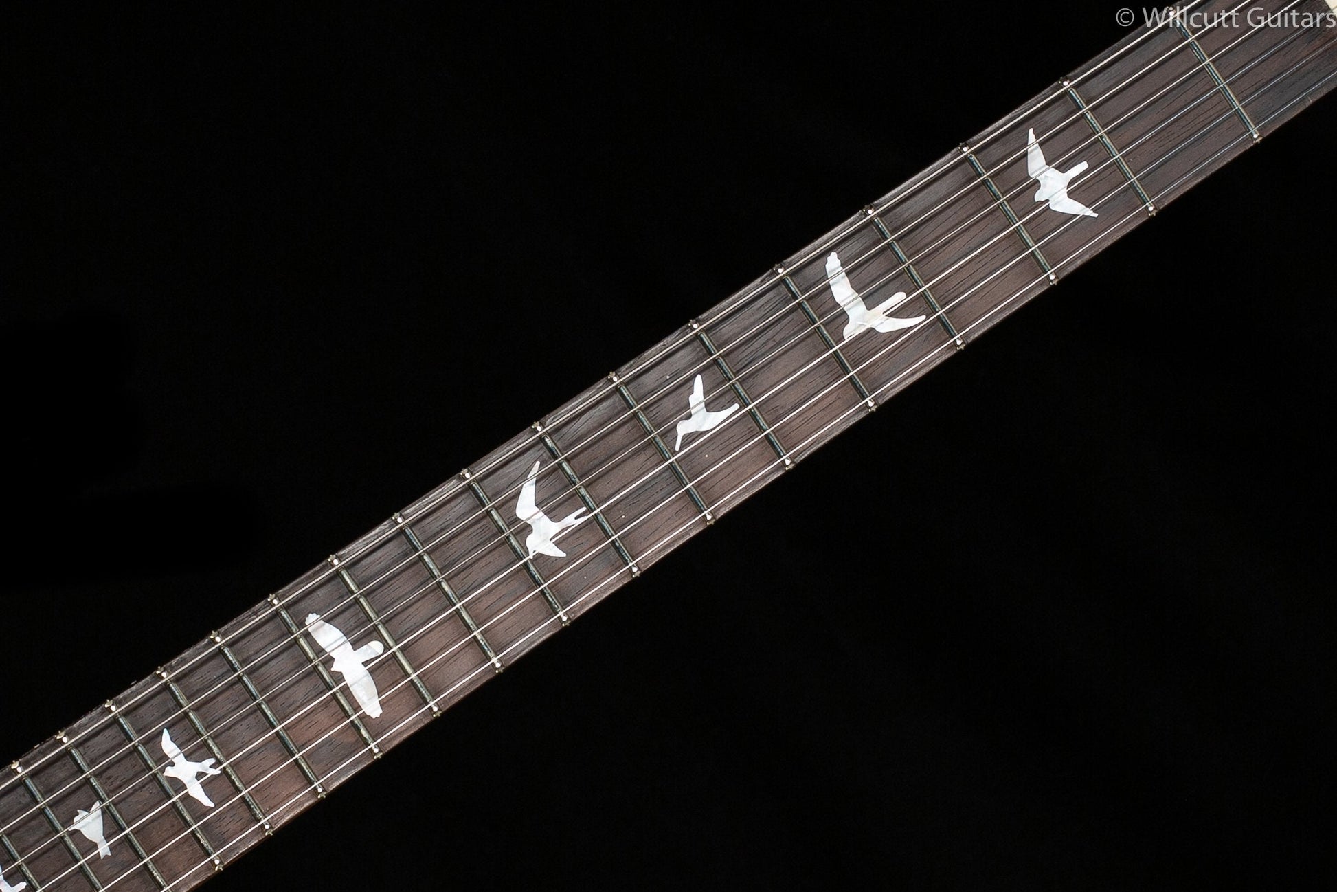 PRS Wood Library DGT Goldtop Brazilian Rosewood