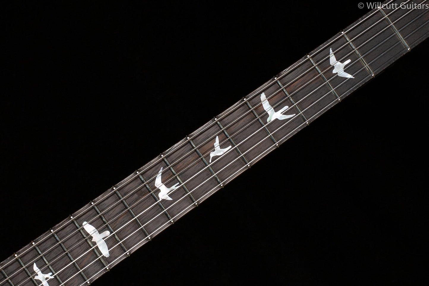 PRS Wood Library DGT Goldtop Brazilian Rosewood