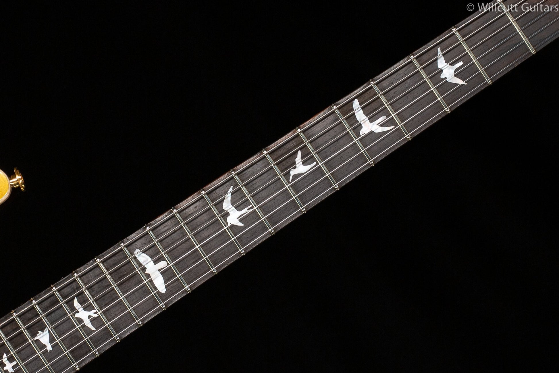 PRS Wood Library DGT Goldtop Brazilian Rosewood