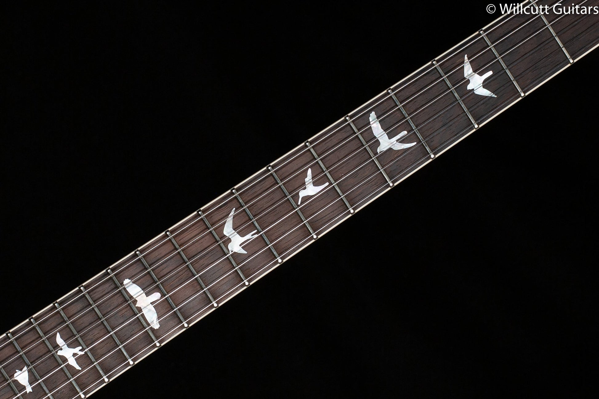 PRS Wood Library McCarty 594 Whale Blue Smokeburst Blue Binding Rosewood Neck
