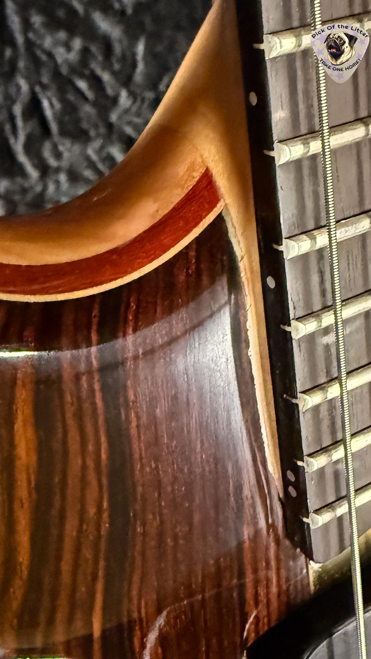 2002 Alembic Tribute Cocobolo