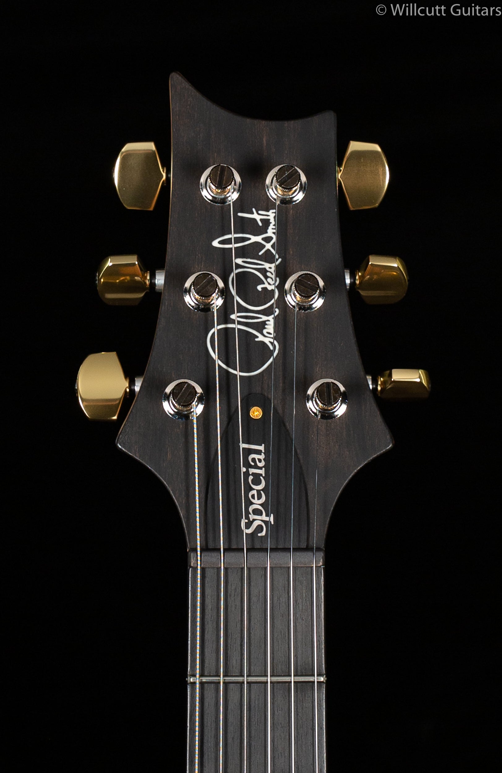 PRS Wood Library Special 22 Semi Hollow Red Tiger Torrefied Maple Neck