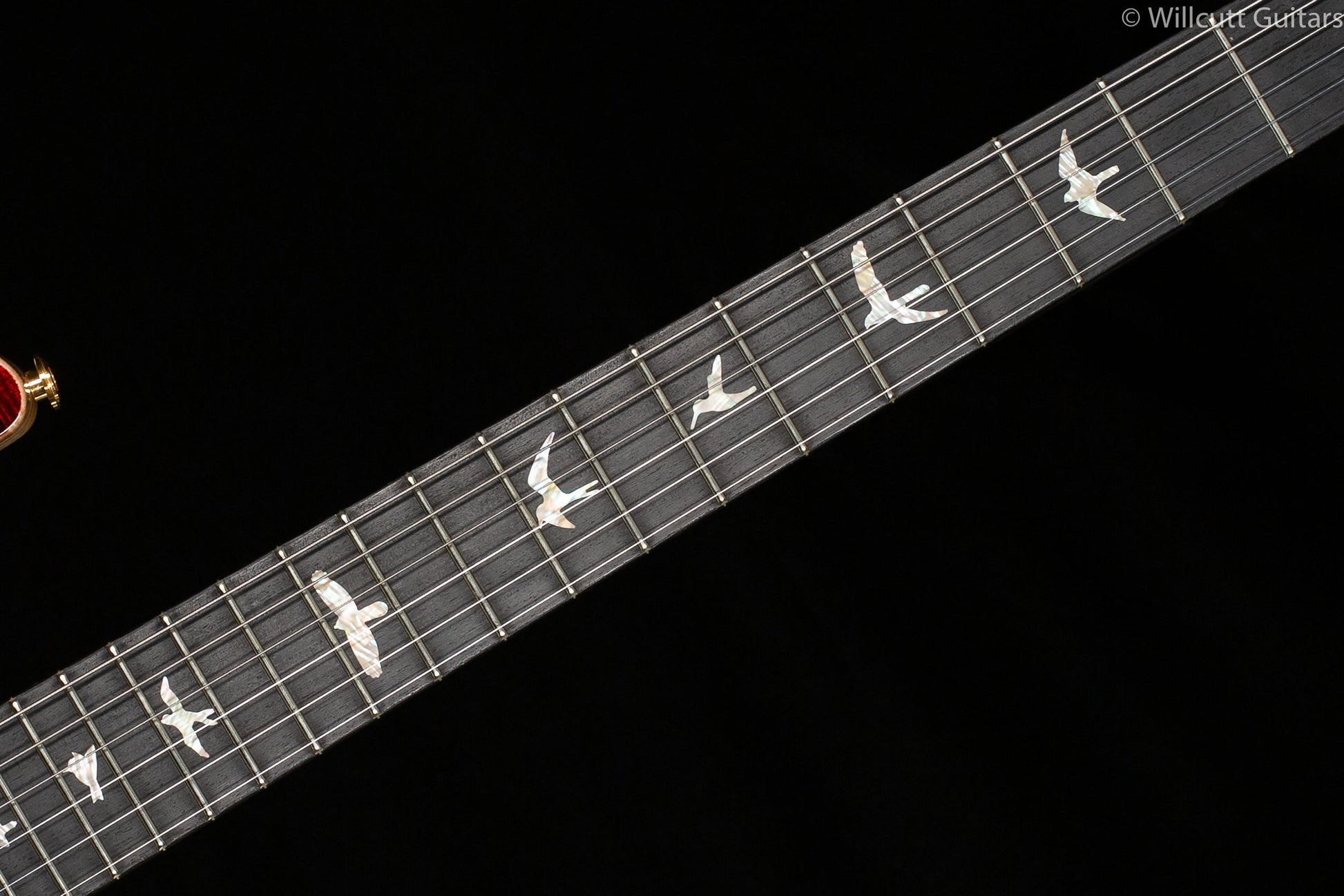 PRS Wood Library Special 22 Semi Hollow Red Tiger Torrefied Maple Neck