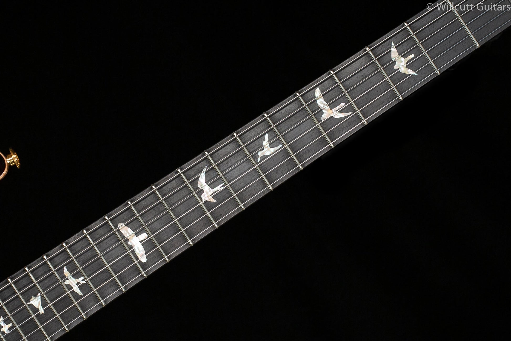 PRS Wood Library, Special 22 Semi Hollow Black Gold Burst (284)