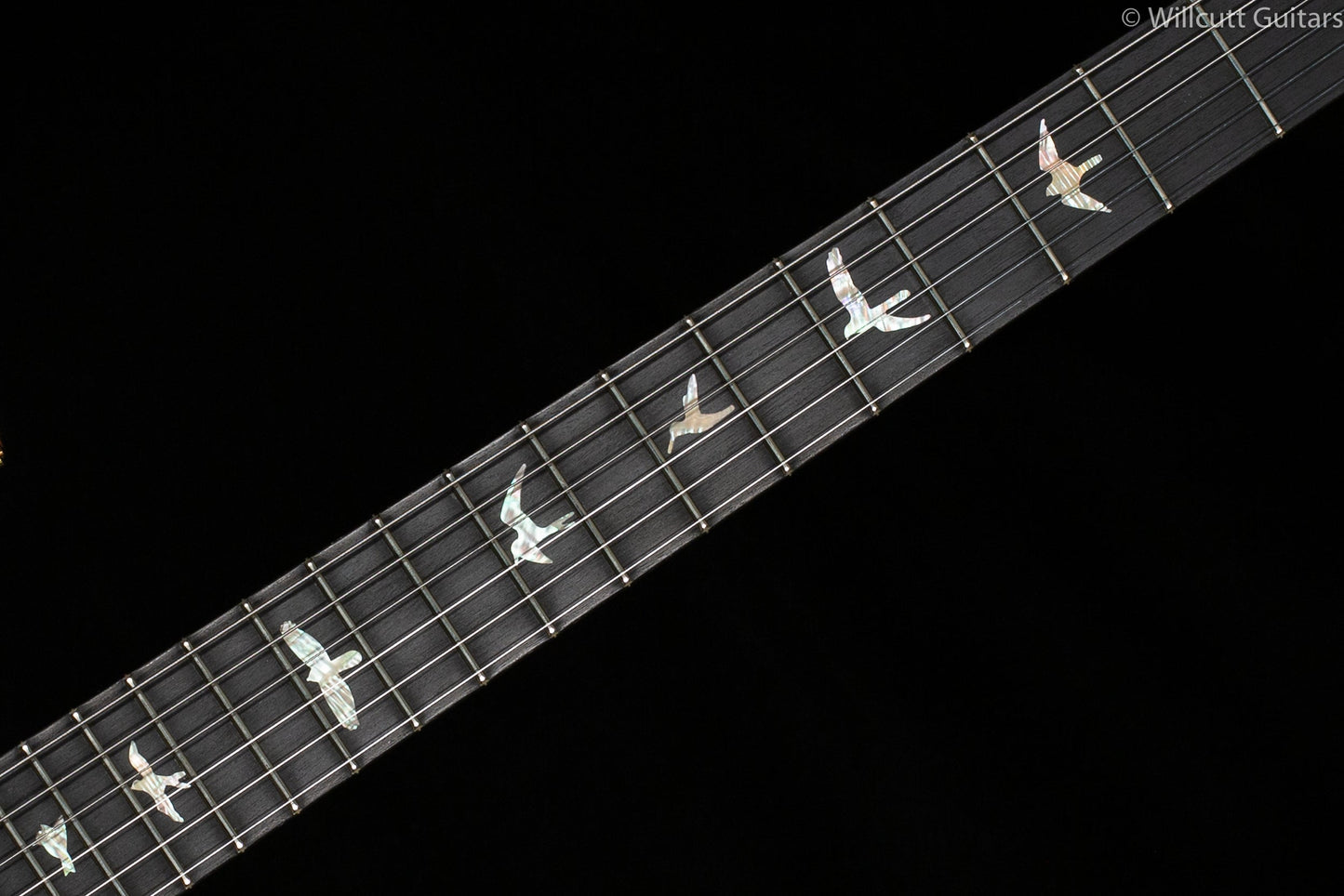 PRS Wood Library Special 22 Semi Hollow Powder Blue Torrified Maple Neck