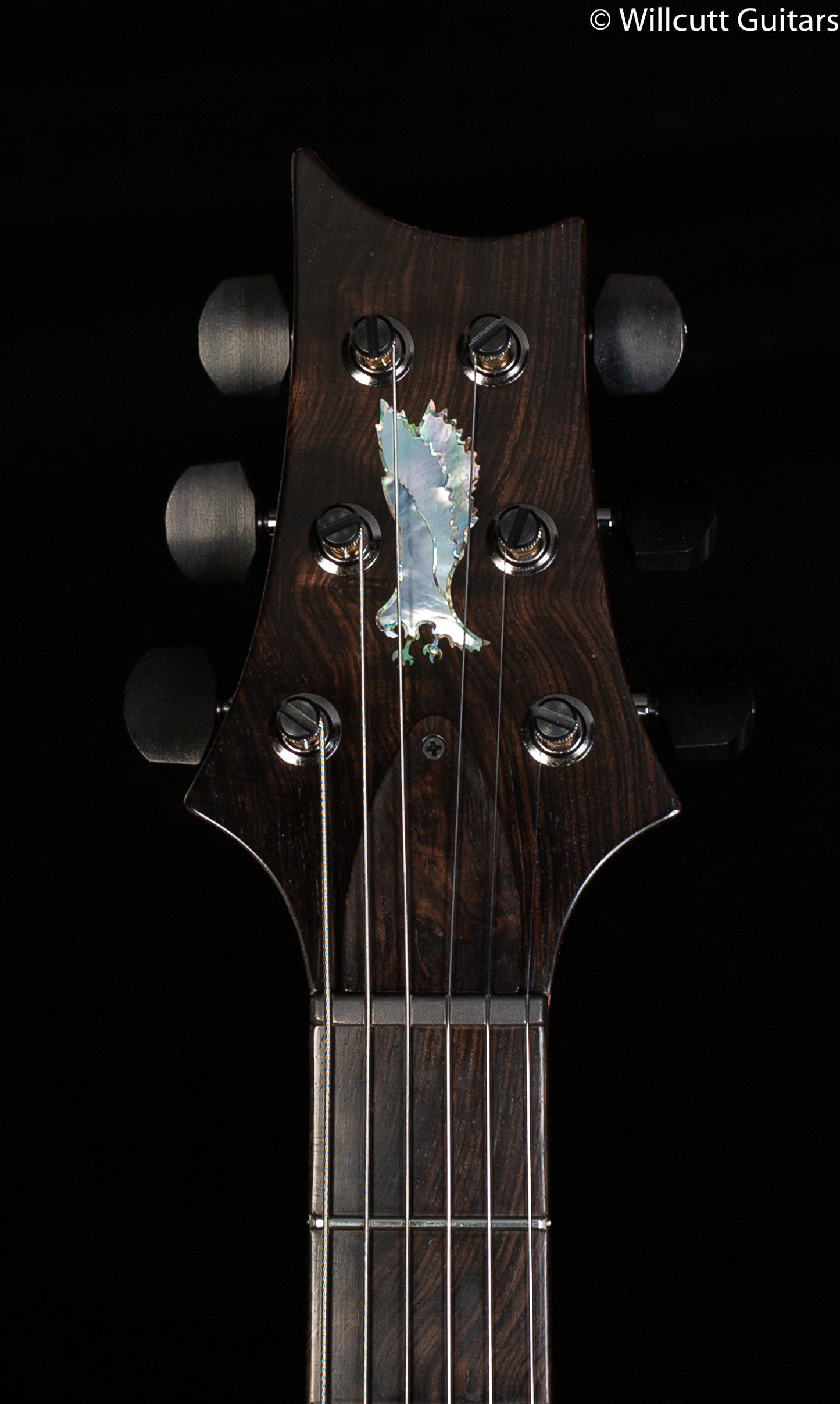 PRS Private Stock 8755 Custom 24 Aqua Violet Glow