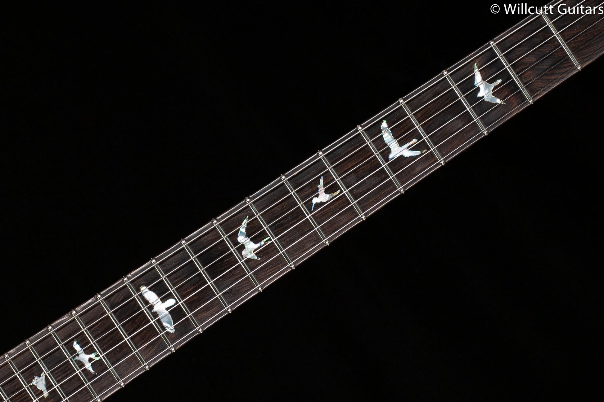 PRS Private Stock 8755 Custom 24 Aqua Violet Glow