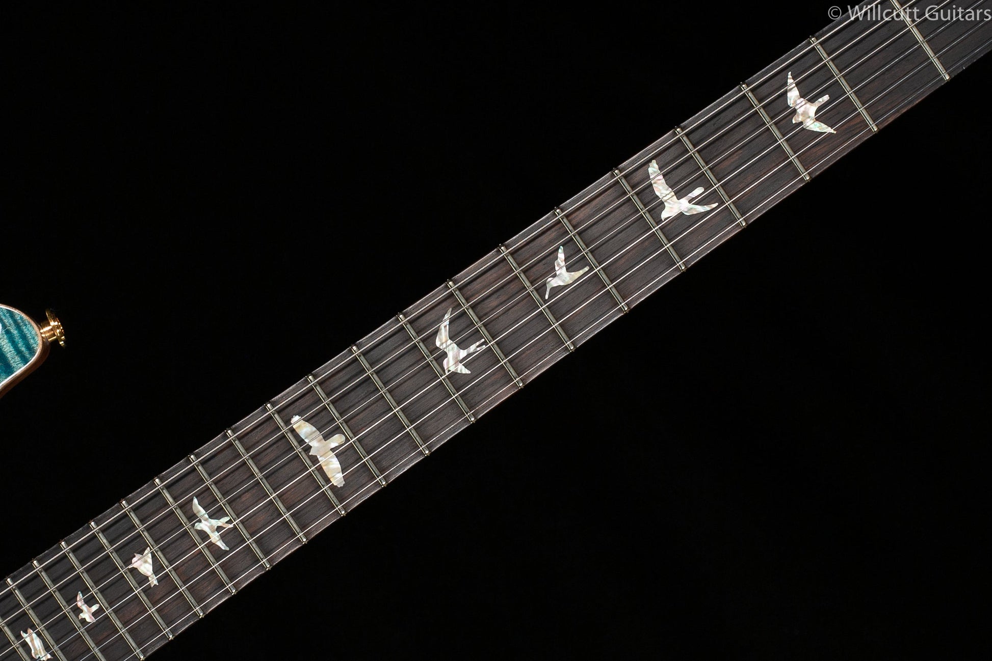 PRS Wood Library Custom 24 "Fatback" Aquableux Artist Top Flamed Maple Neck