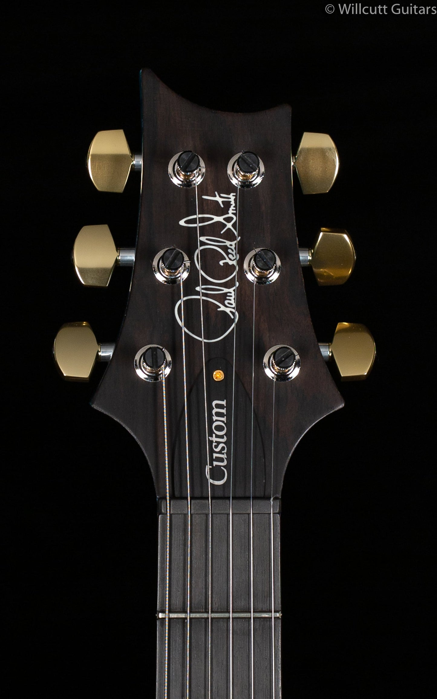 PRS Wood Library Custom 24 "Fatback" Aquableux Artist Top Flamed Maple Neck