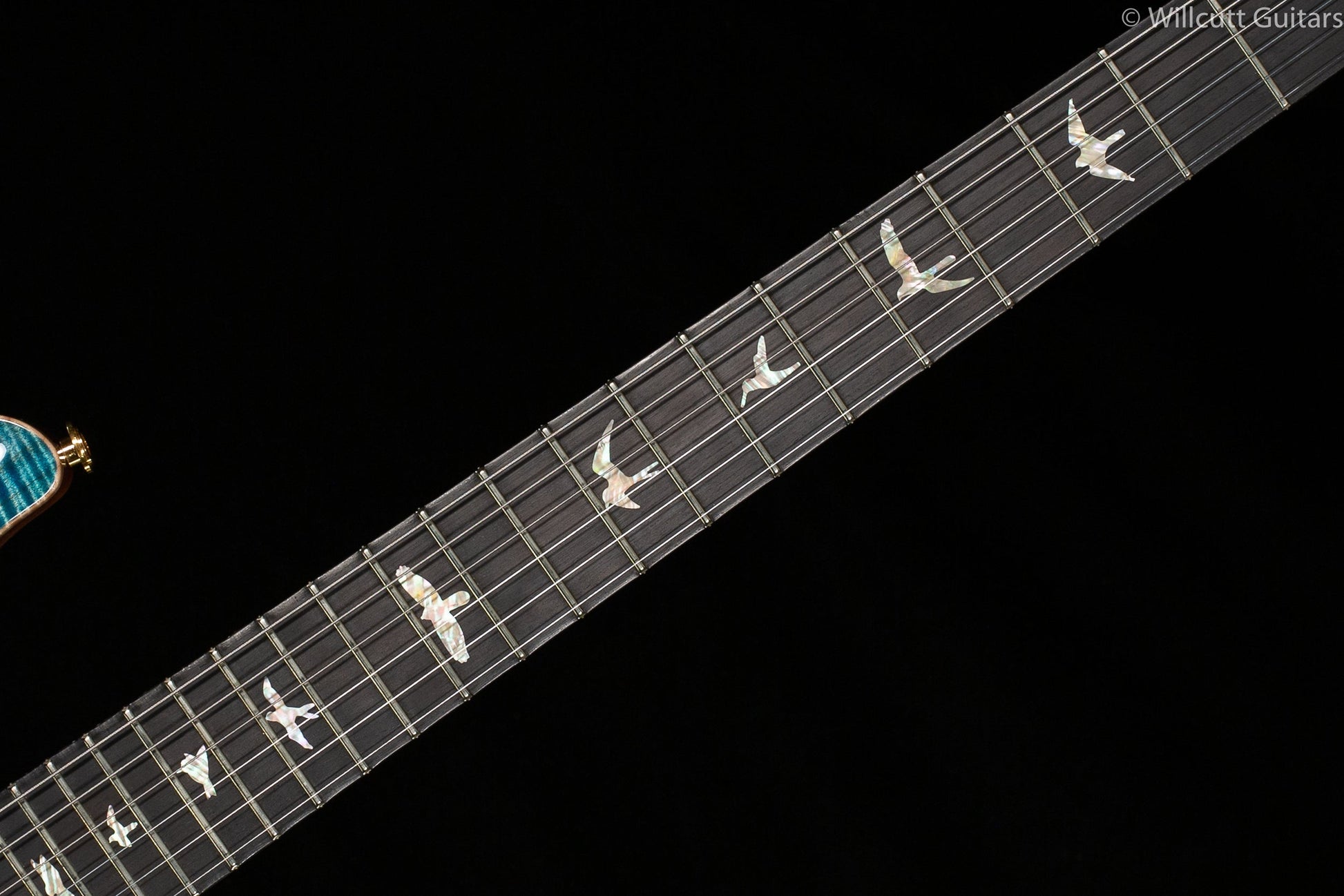 PRS Wood Library Custom 24 "Fatback" Aquableux Artist Top Flamed Maple Neck