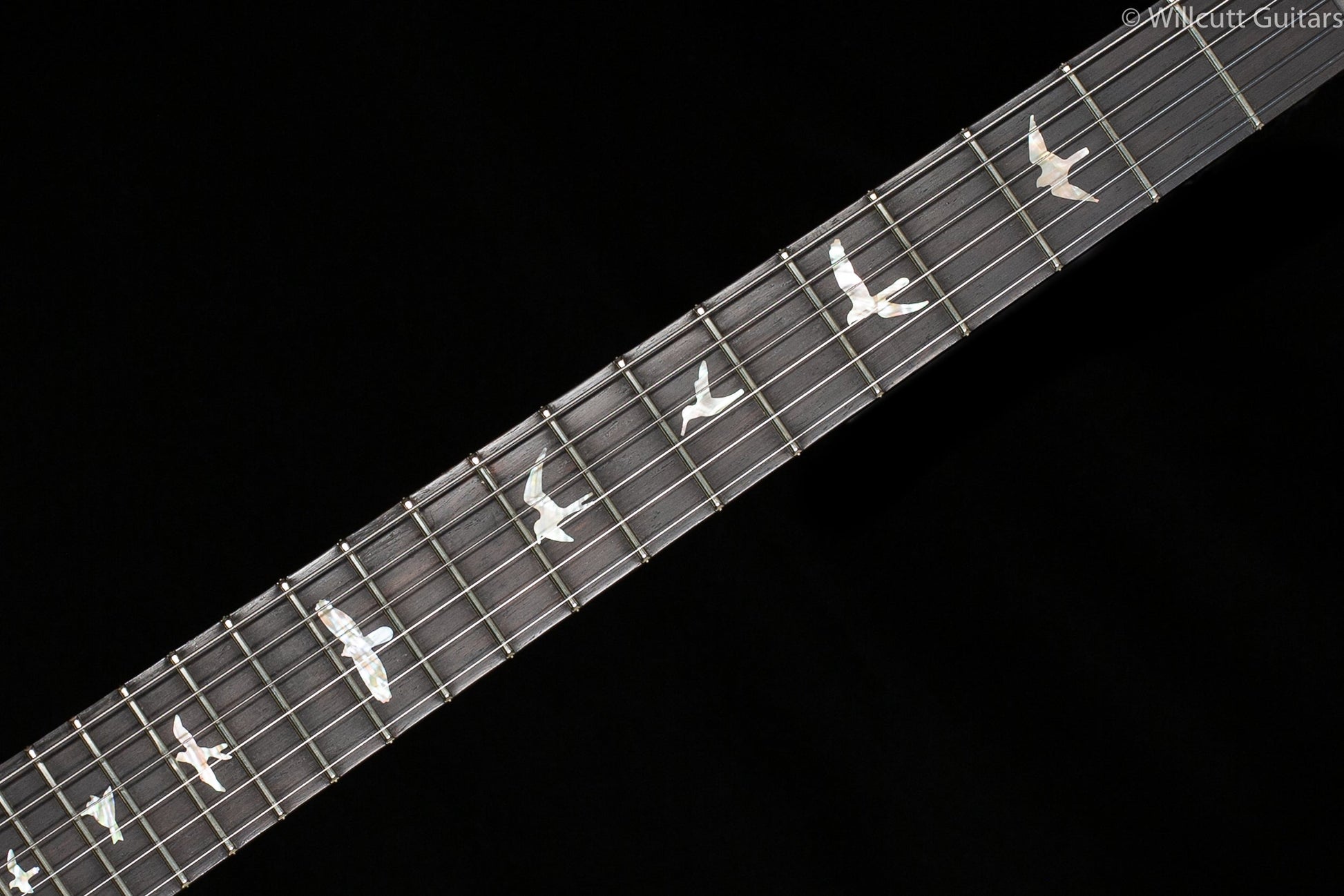 PRS Wood Library Custom 24 "Fatback" Faded Whale Blue Artist Top Flamed Maple Neck