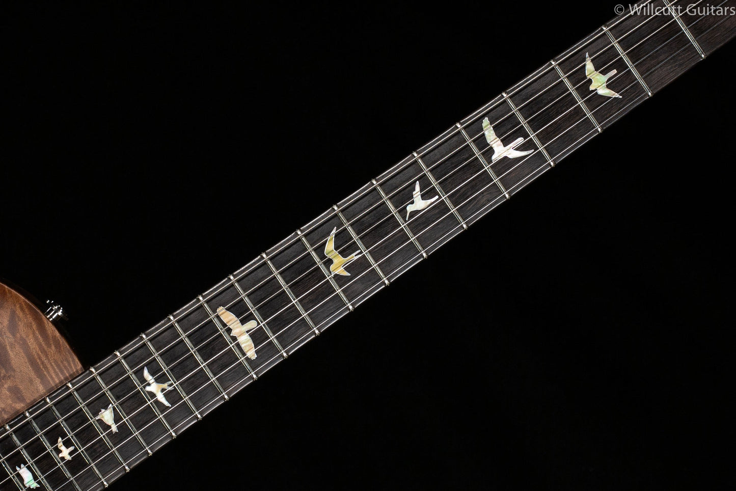PRS Private Stock 8767 Tremonti Semi-Hollow Burl